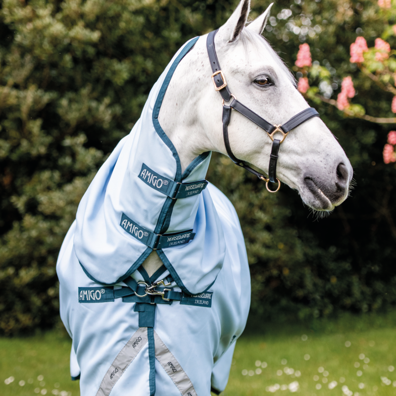 Horseware Amigo 50g Turnout Rug - Blue/Navy -2